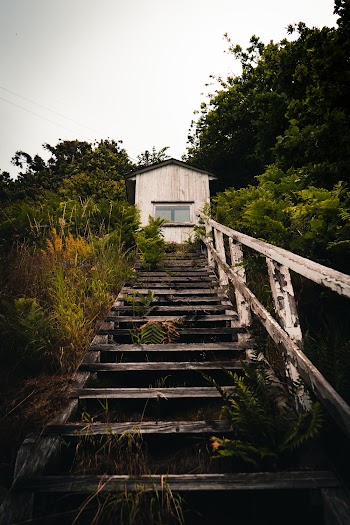 White Wooden House