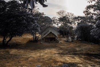 White Wooden House Beside Trees