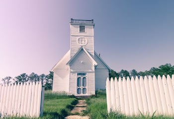 white wooden house near trees at daytime