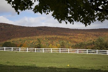 White Wooden Outdoor Safety Fence With Brown and Green Grass Field
