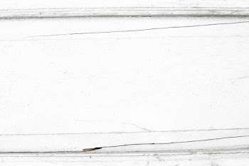 White wooden textured background design | Free stock vector - 525374