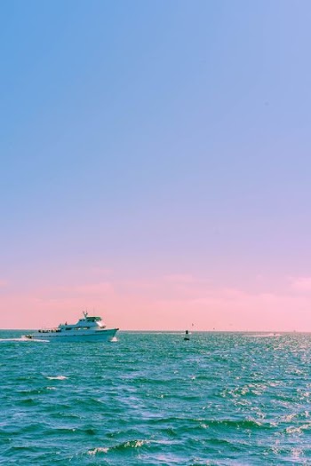 white yacht sailing during day
