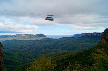 White Zip Line Bus Above on Green Leaved Trees