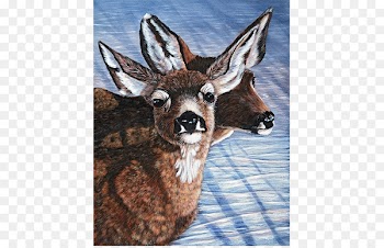 Whitetailed Deer, Deer, Moschus, Vertebrate, Mammal PNG