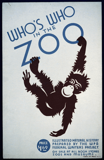 Who's who in the zoo | Free Photo - rawpixel