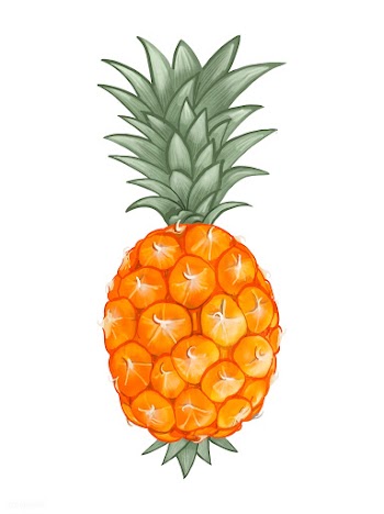 Whole fresh tropical pineapple illustration | Free stock vector - 463811