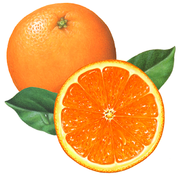 Whole orange with a cut orange half and leaves | Food Clip Art ...