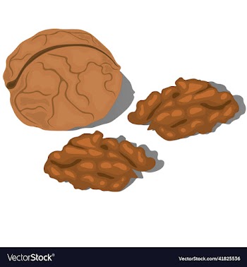 whole walnut in shell with two half of core