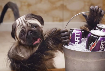 Why Mountain Dew's "Puppy-Monkey-Baby" Super Bowl Ad Is Secretly ...