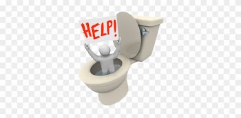 Why Pour Money Down The Drain When Your Drainage Needs - Sanitario Entupido