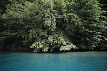 Wide Angle Photo of Body of Water