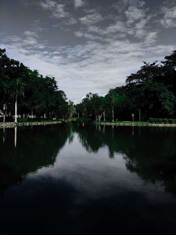 Wide Angle Photo of Body of Water