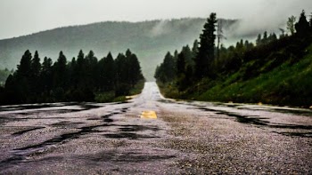 wide angle photo of gray road with pine trees beside