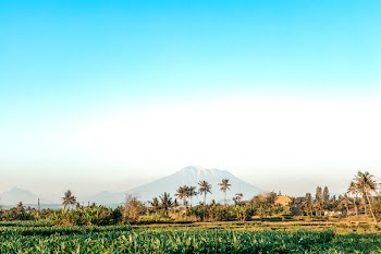 Wide Angle Photo of Green Grass Field