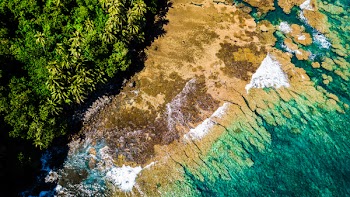 Wide Angle Photo of Shore