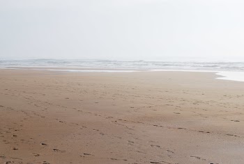 Wide Angle Photo of Shore