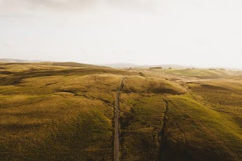Wide Angle Photography of Open Field