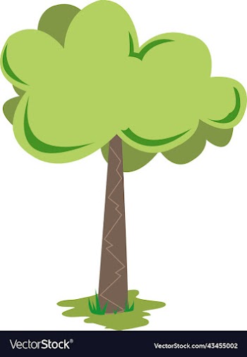 wide tree