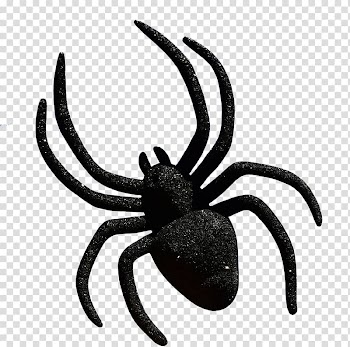 Widow spiders Halloween , spider transparent background PNG clipart