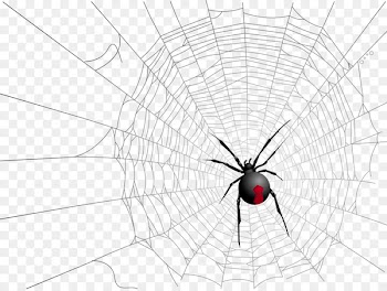 Widow spiders Halloween Spider web - Spider web spider 