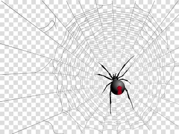 Widow spiders Insect Symmetry Pattern, Halloween spider web spider transparent background PNG clipart