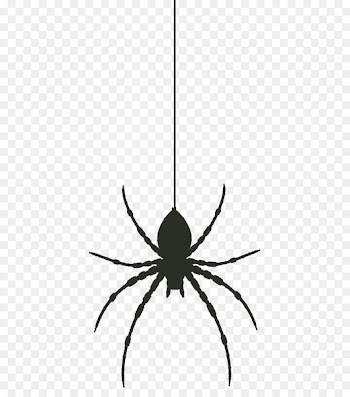Widow spiders - spider 
