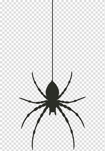 Widow spiders, spider transparent background PNG clipart