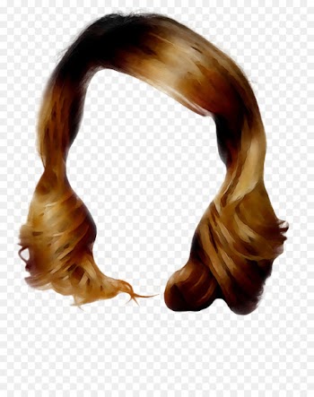 Wig Brown hair Long hair -  