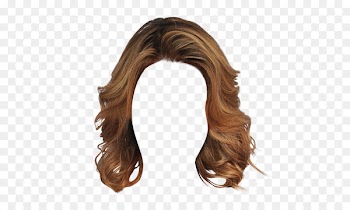 Wig Hairstyle - Free wig short hair clips to pull the graphic image 