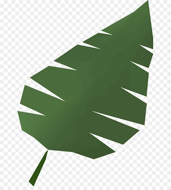 Wiki, Leaf, Santa Claus, Green PNG