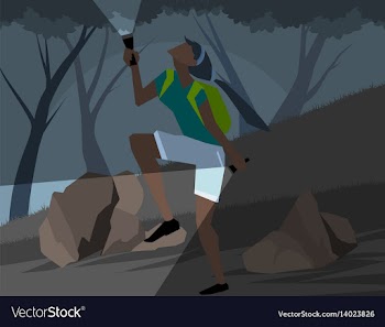 Wild adventure vector image