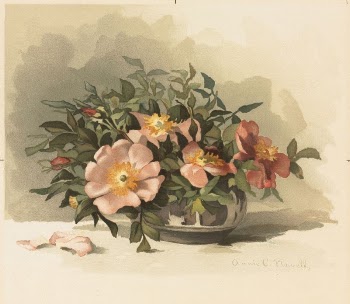 Wild azaleas and wild roses | Free Photo - rawpixel