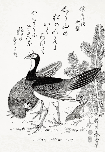 Wild bird (1804-1810) vintage Ukiyo-e | Free Photo Illustration - rawpixel
