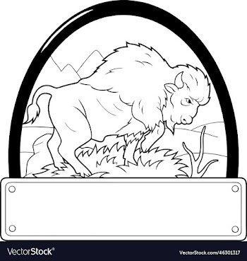 wild bison