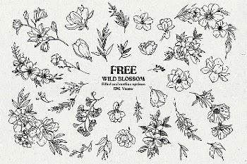 Wild Blossom - Hand sketched Floral & Botanical elements