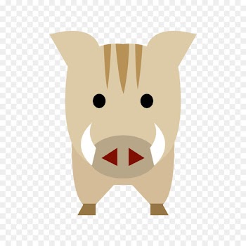 Wild boar Illustration Pig Dog Image -  