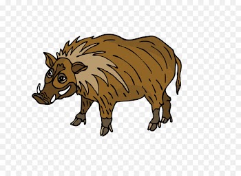 Wild boar Illustration T-shirt Royalty-free New Year card - tshirt 