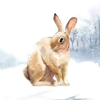 Wild brown rabbit in a winter wonderland pain.. | Free stock vector - 489412