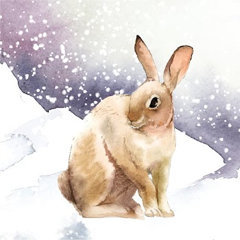Wild brown rabbit in a winter wonderland pain.. | Free stock vector - 489456