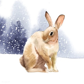 Wild brown rabbit in a winter wonderland pain.. | Free stock vector - 489504