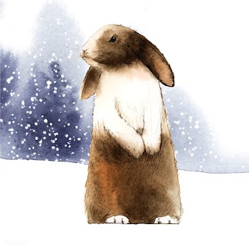 Wild brown rabbit in a winter wonderland pain.. | Free stock vector - 489514