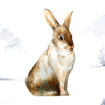 Wild brown rabbit in a winter wonderland pain.. | Free stock vector - 489517
