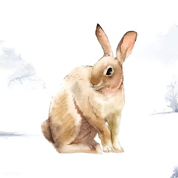 Wild brown rabbit in a winter wonderland pain.. | Free stock vector - 489592