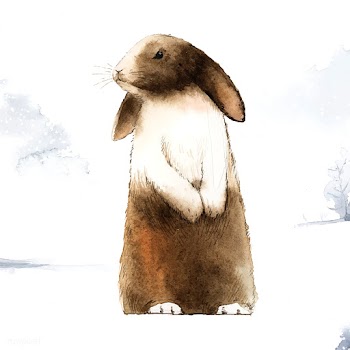 Wild brown rabbit in a winter wonderland pain.. | Free stock vector - 489599