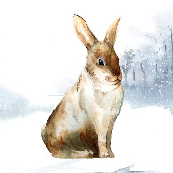 Wild brown rabbit in a winter wonderland pain.. | Free stock vector - 489609
