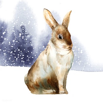 Wild brown rabbit in a winter wonderland pain.. | Free stock vector - 489630