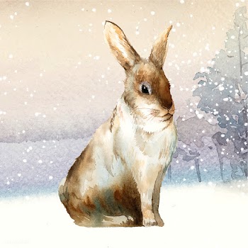 Wild brown rabbit in a winter wonderland pain.. | Free stock vector - 489652