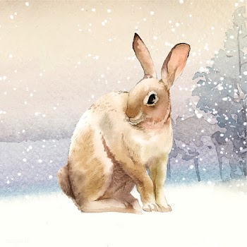 Wild brown rabbit in a winter wonderland pain.. | Free stock vector - 489670