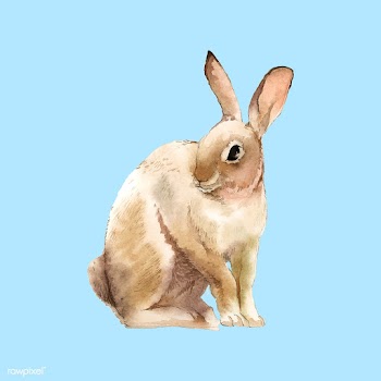 Wild brown rabbit painted by watercolor vecto.. | Free stock vector - 489433