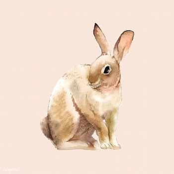 Wild brown rabbit painted by watercolor vecto.. | Free stock vector - 489436